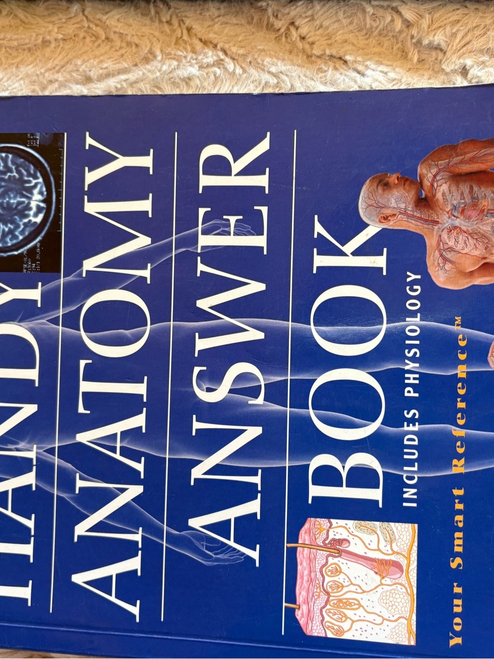 Landry Anatomy Answer Book - Blue Medical Reference